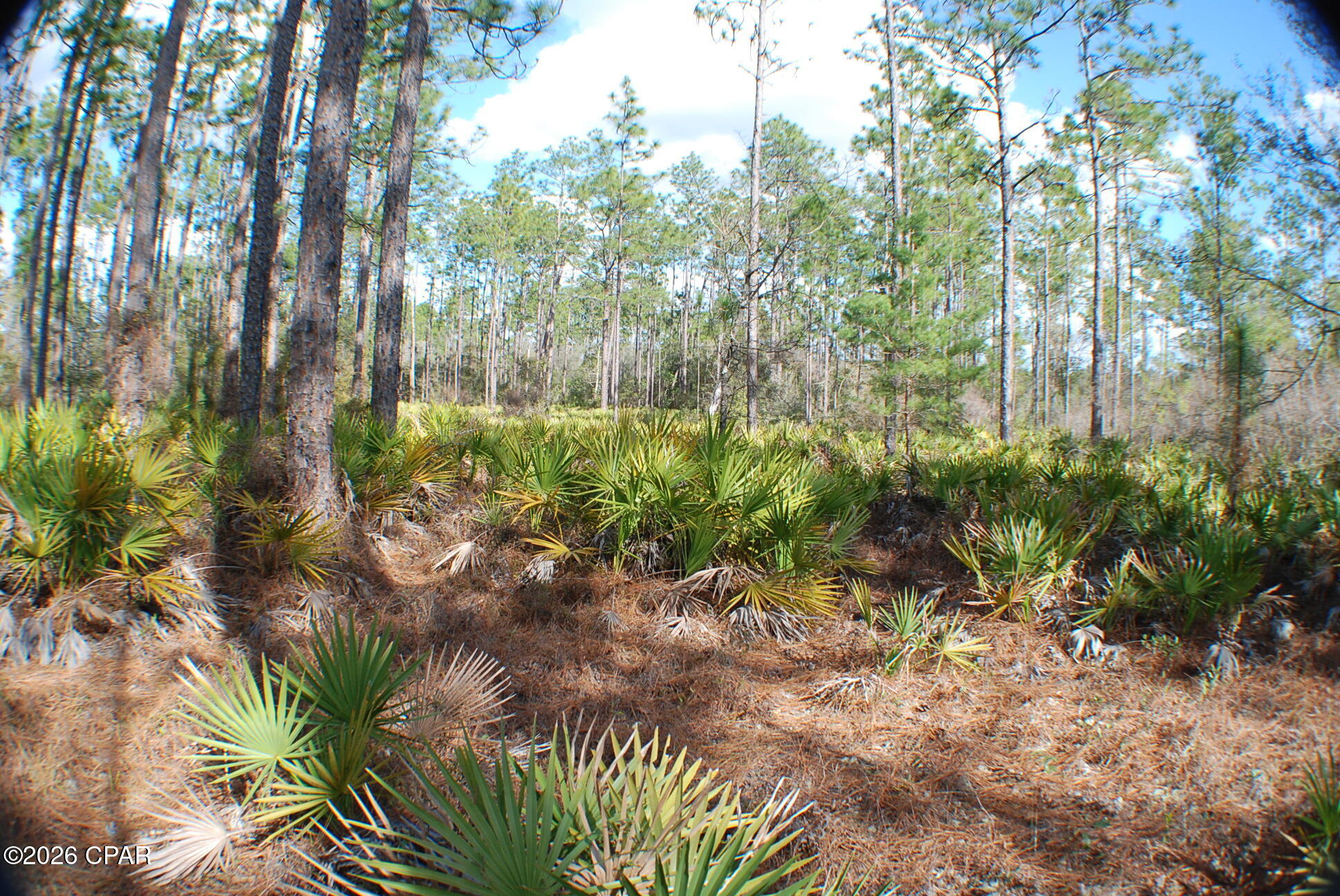 0 Dickerson Road Fountain, FL 32438 - Photo 10 of 19