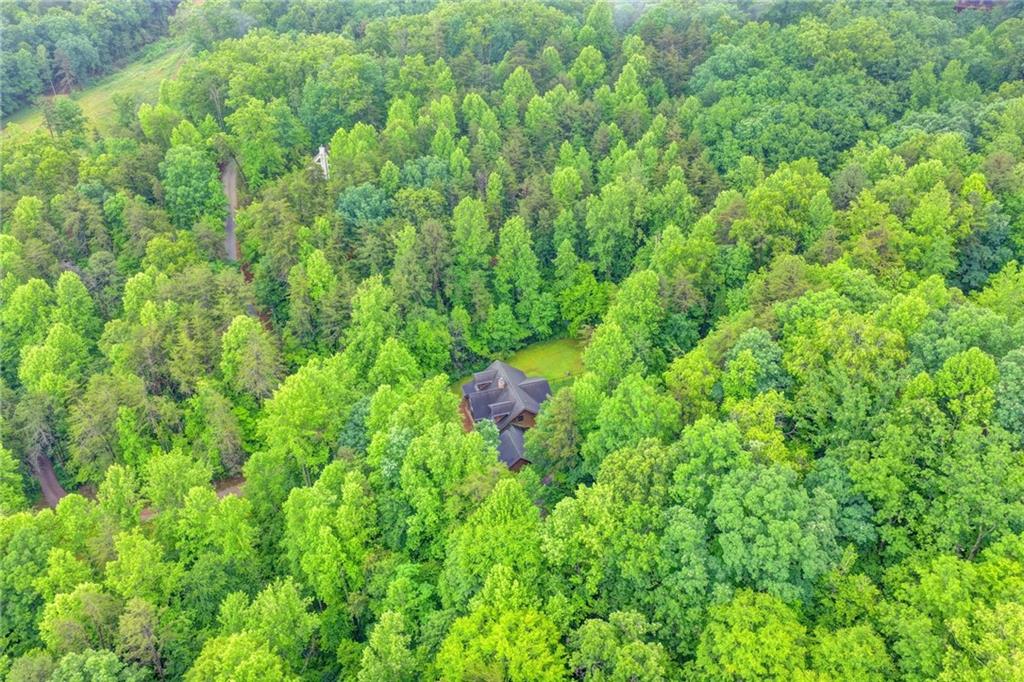 82 Walnut Grove Lane Tiger, GA 30576 - Photo 88 of 88 a view of a lush green forest