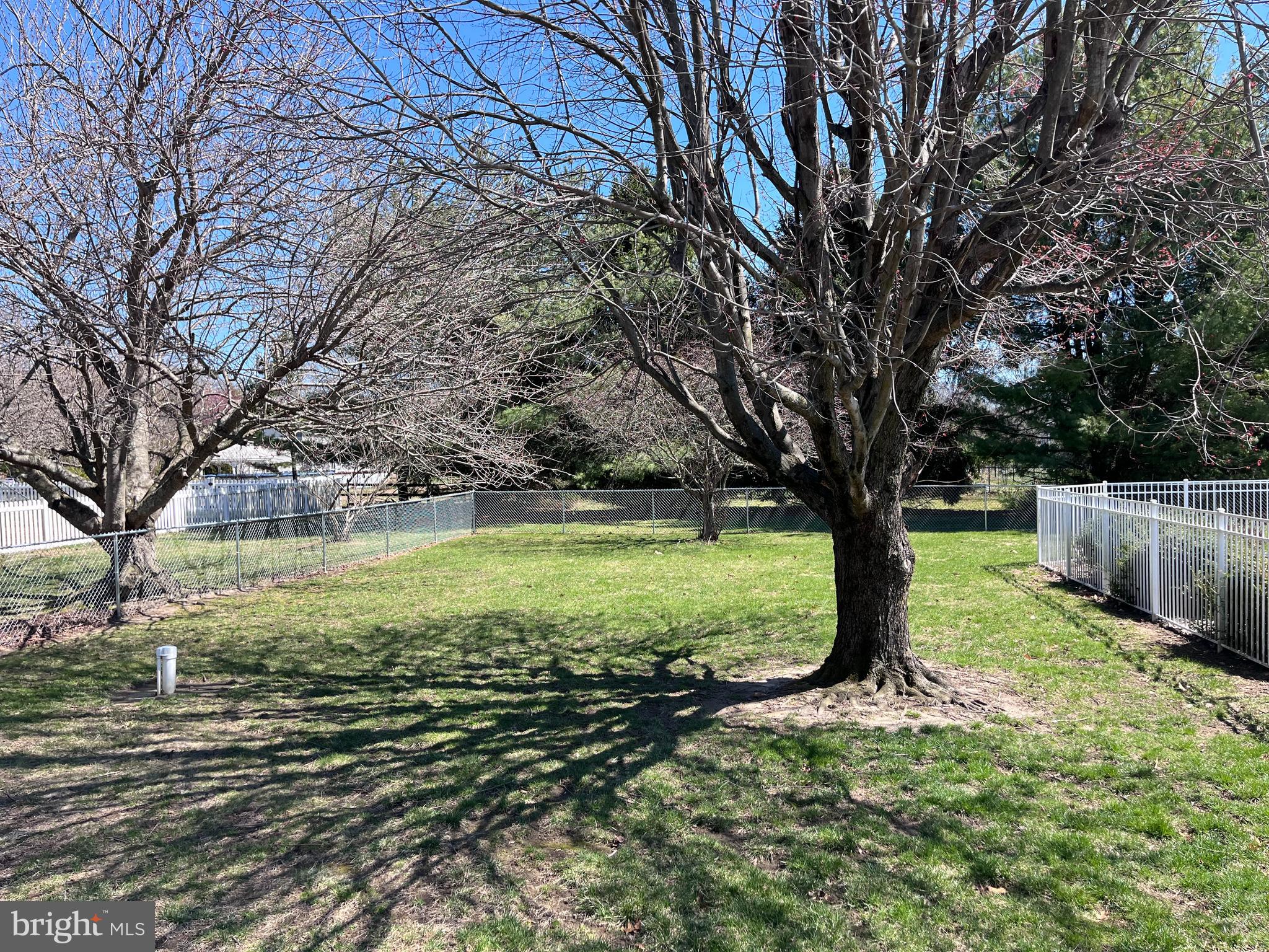 130 Hopkins Road New Egypt, NJ 08533 - Photo 29 of 35 fenced part of yard perfect for dogs or children