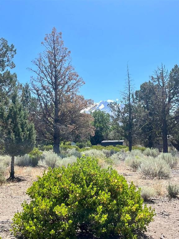 0 Sherwood Road Weed, CA 96094 - Photo 1 of 8 Gallery Image 1