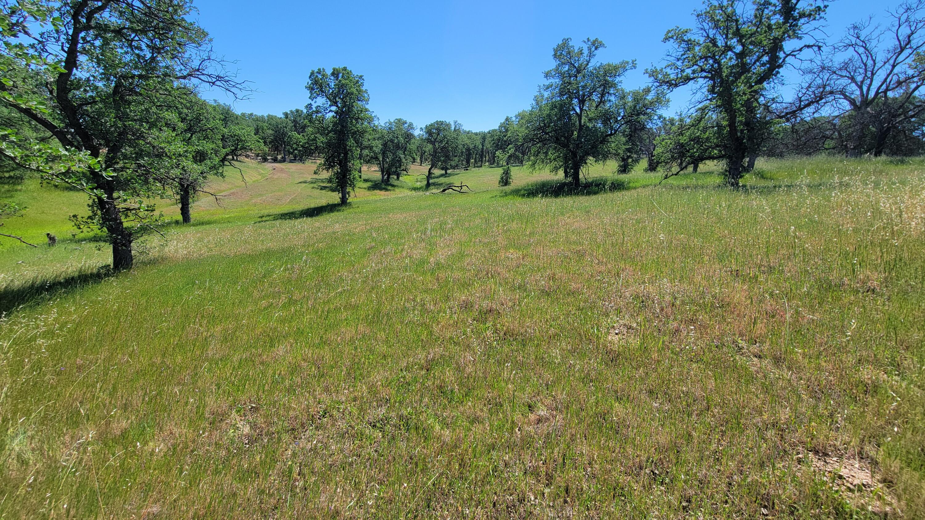 Lot 63 McCoy Road Cottonwood, CA 96022 - Photo 14 of 33 20260403_134827