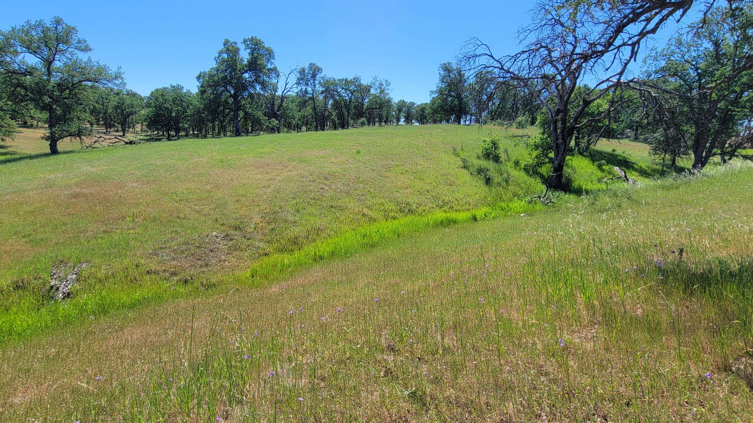 Lot 63 McCoy Road Cottonwood, CA 96022 - Photo 16 of 33 20260403_135219