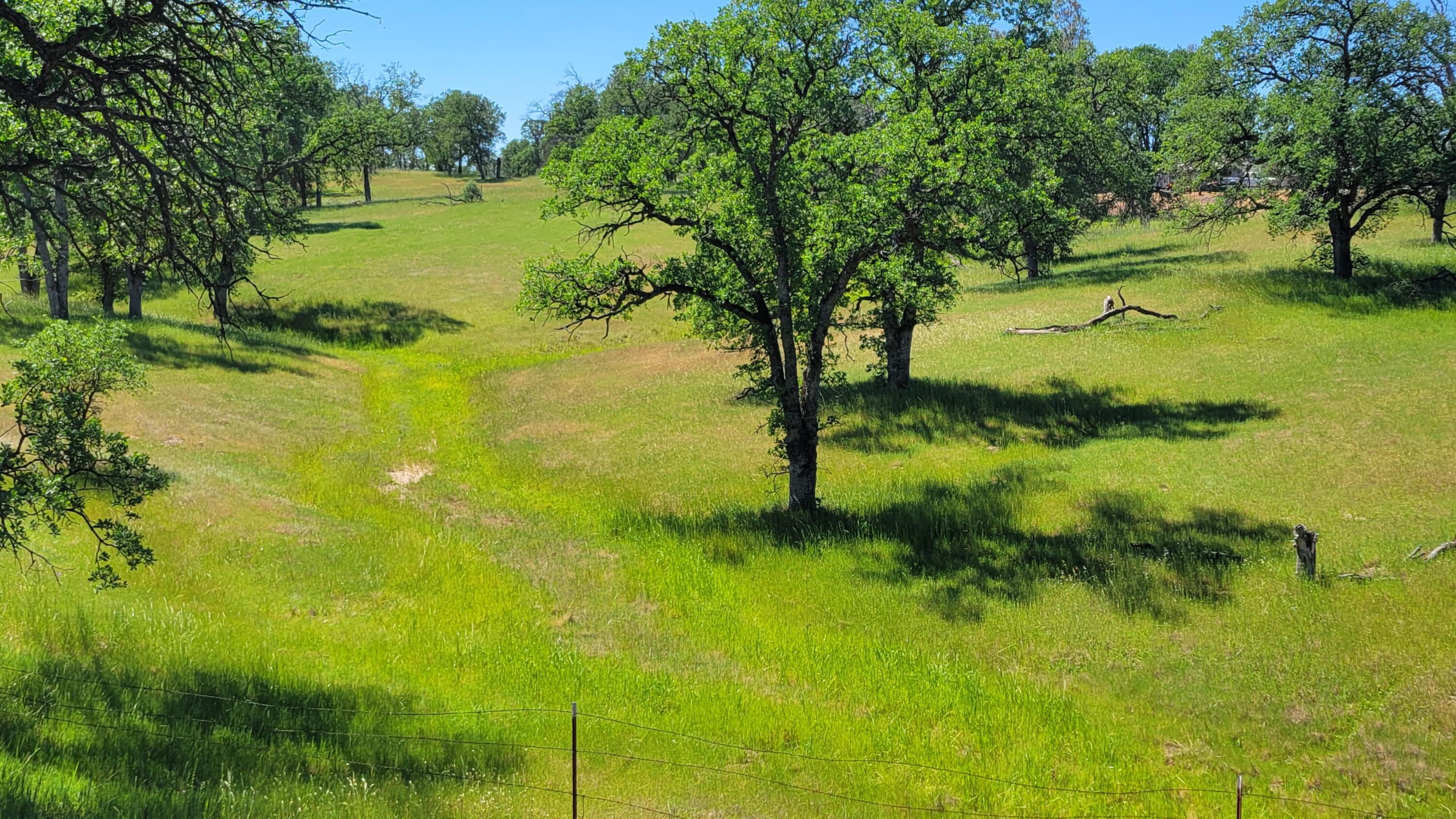Lot 63 McCoy Road Cottonwood, CA 96022 - Photo 2 of 33 1