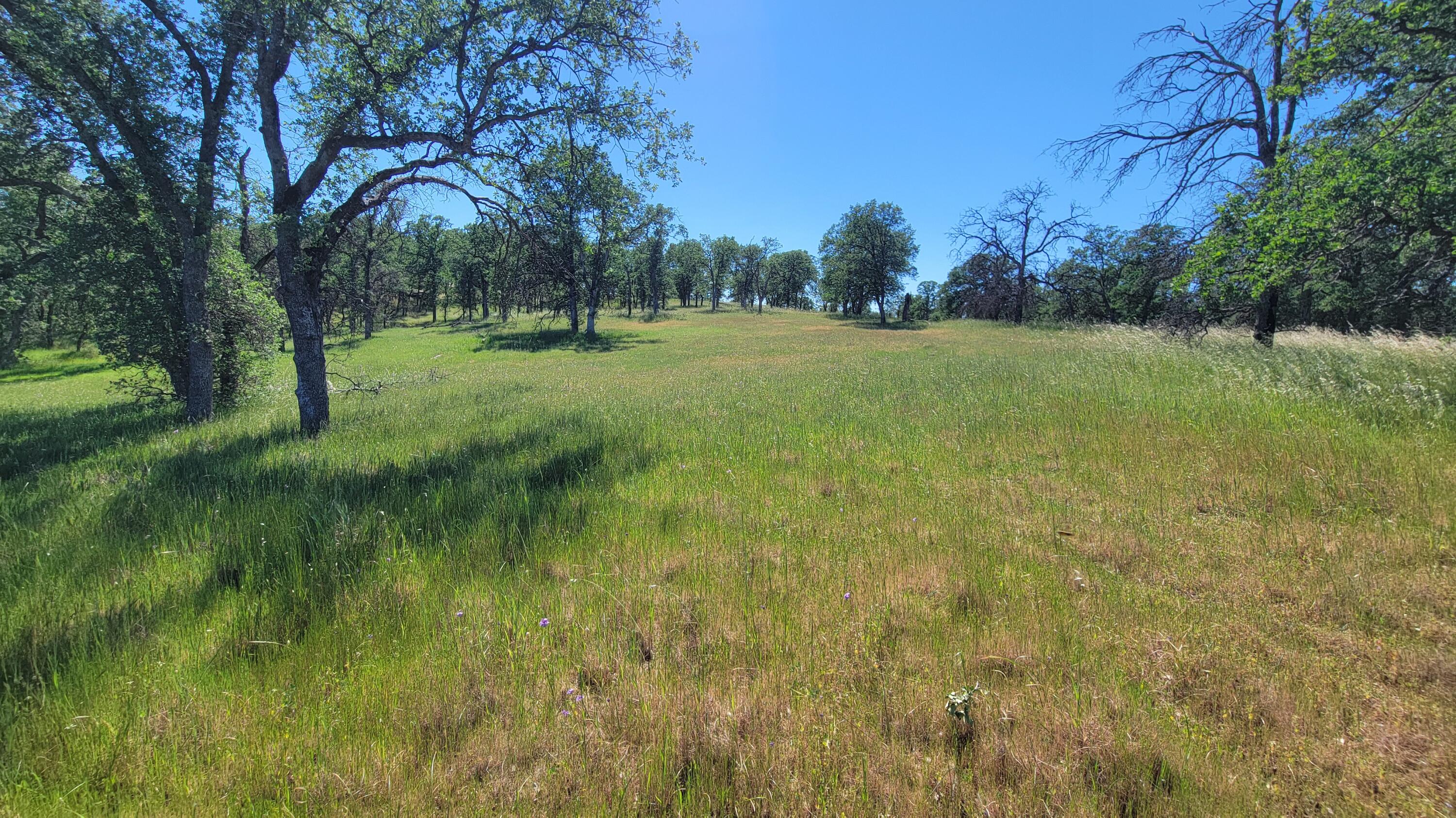 Lot 63 McCoy Road Cottonwood, CA 96022 - Photo 21 of 33 20260403_140018