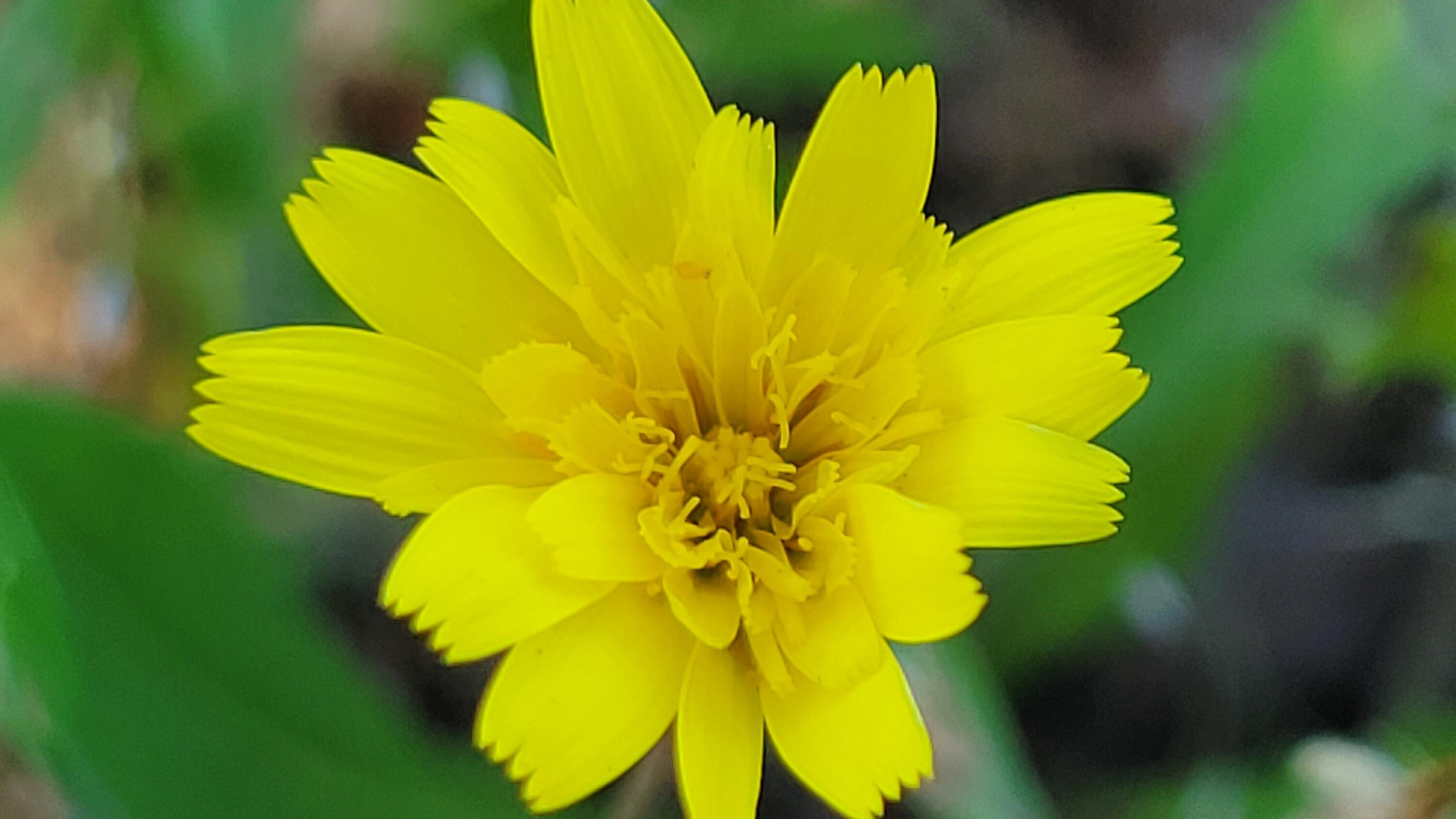 Lot 63 McCoy Road Cottonwood, CA 96022 - Photo 22 of 33 20260403_140100