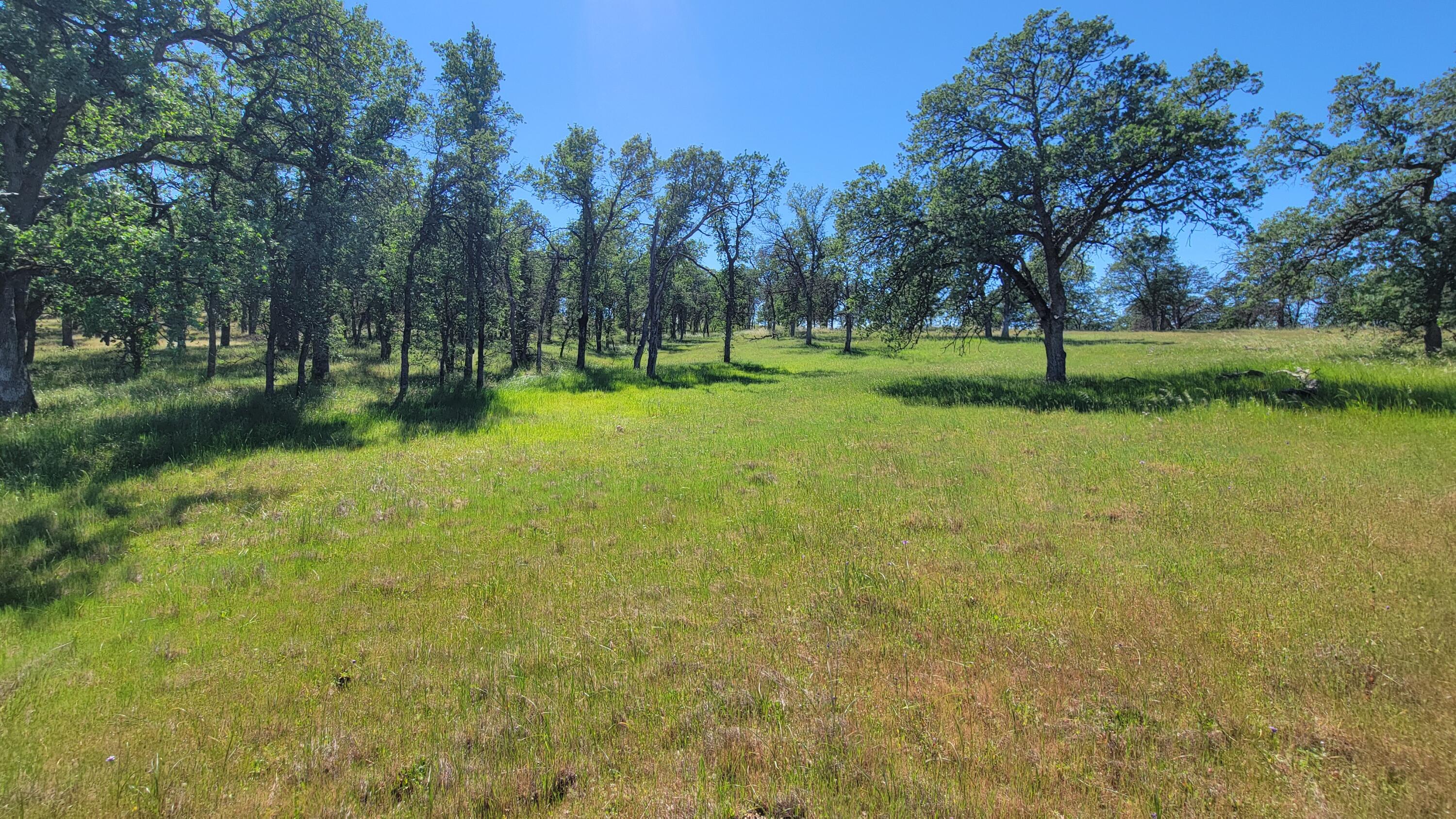 Lot 63 McCoy Road Cottonwood, CA 96022 - Photo 24 of 33 20260403_140435