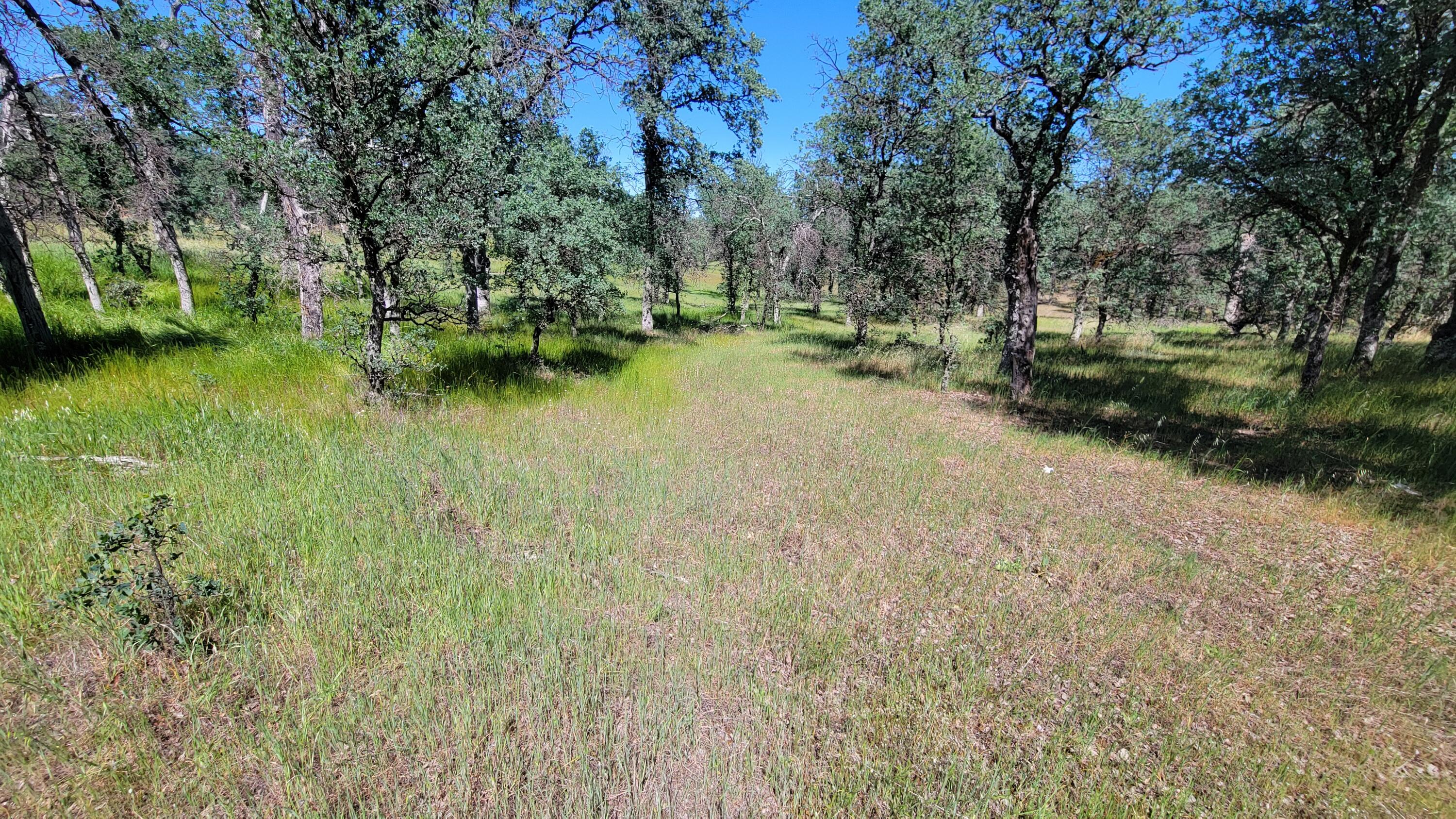 Lot 63 McCoy Road Cottonwood, CA 96022 - Photo 26 of 33 20260403_141000