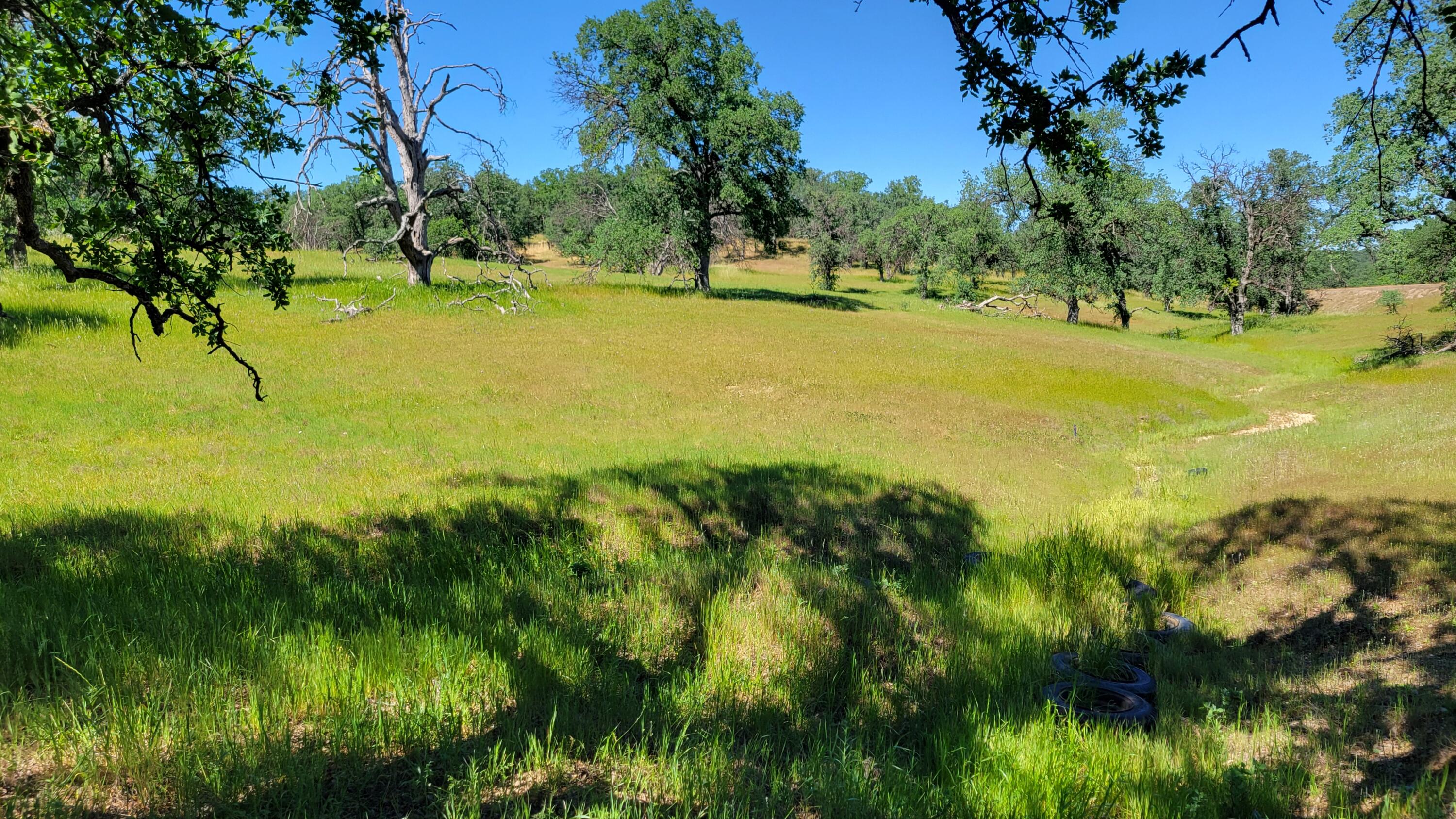 Lot 63 McCoy Road Cottonwood, CA 96022 - Photo 29 of 33 20260403_141347