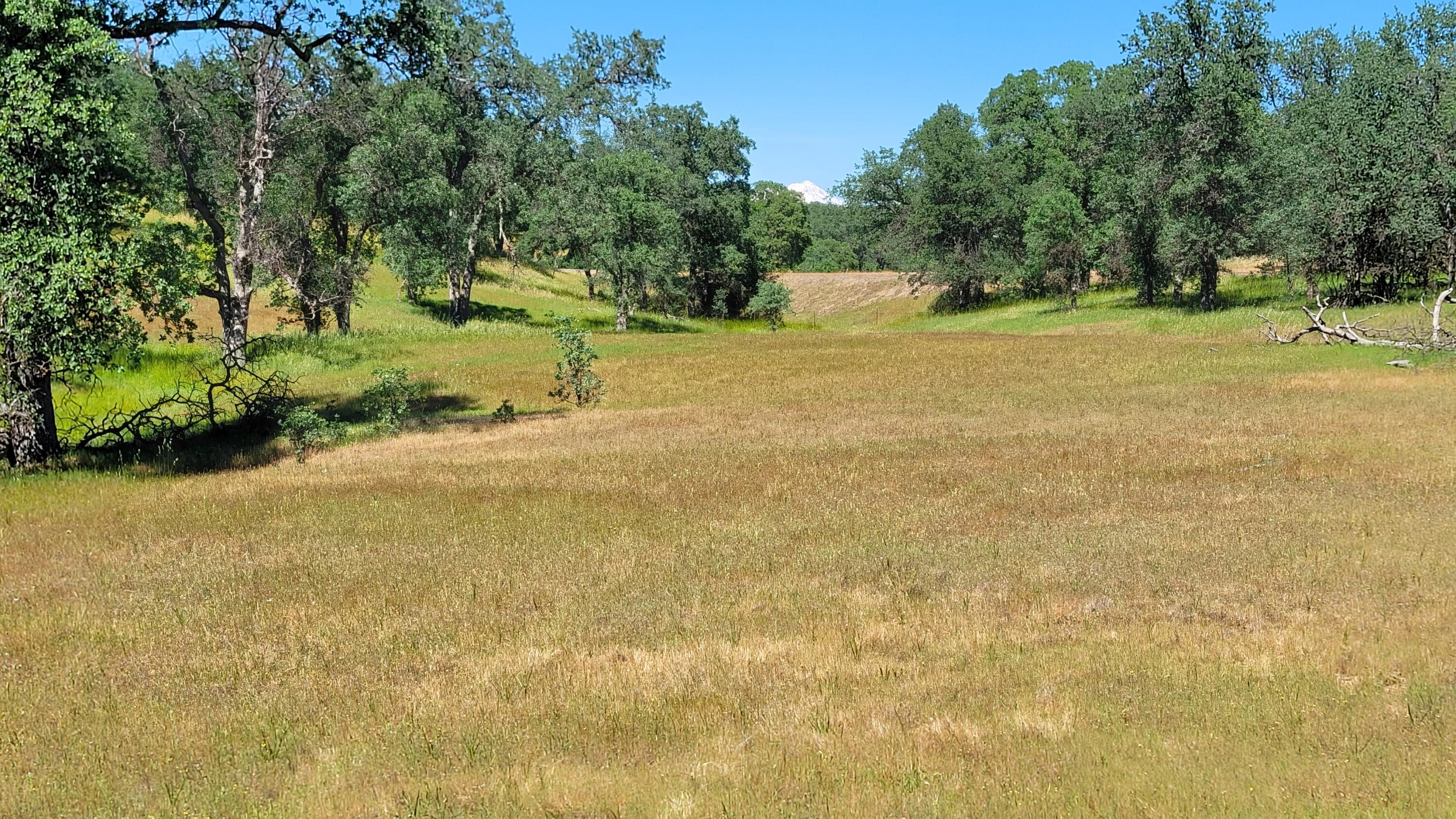 Lot 63 McCoy Road Cottonwood, CA 96022 - Photo 30 of 33 20260403_141546