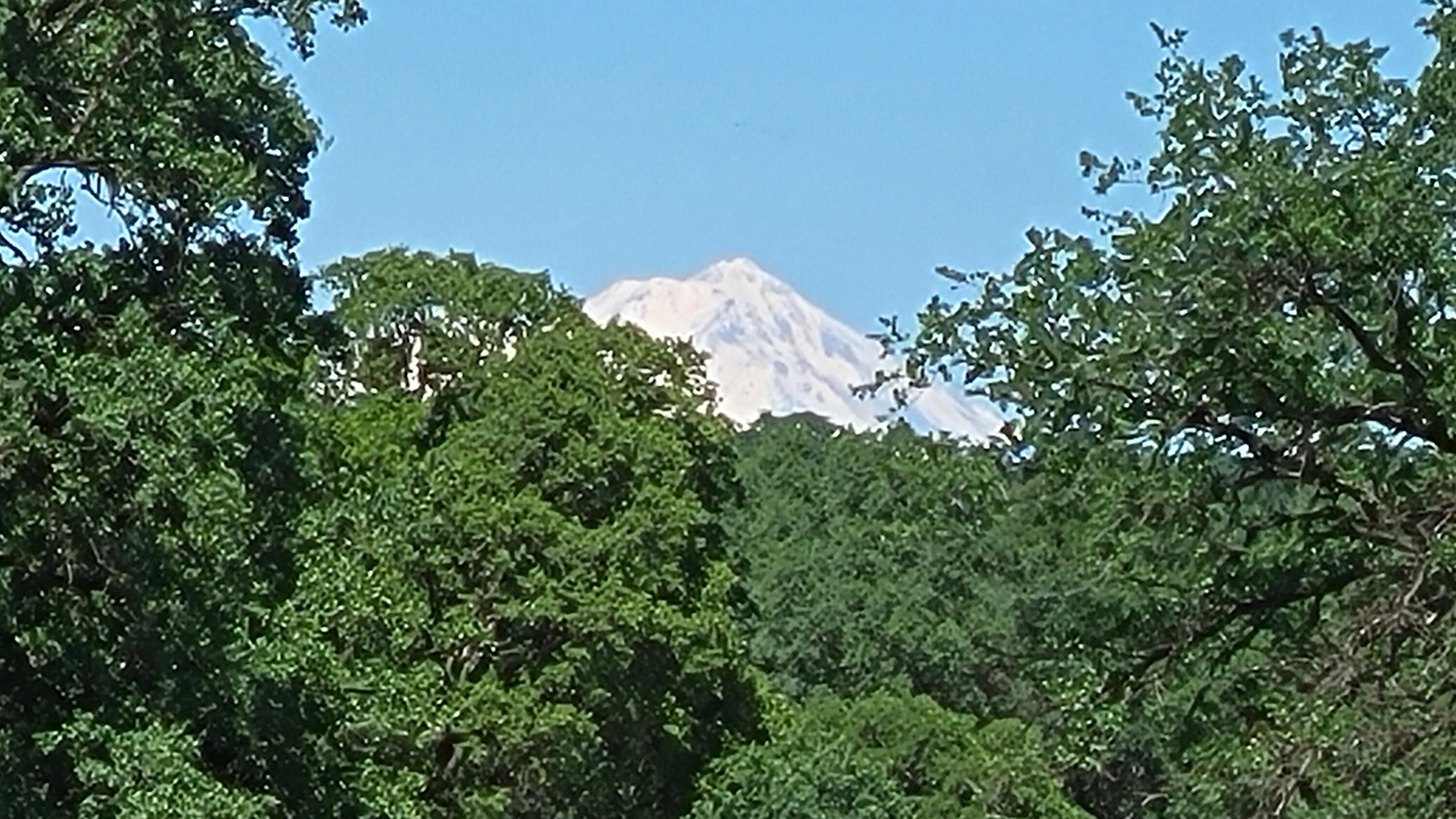 Lot 63 McCoy Road Cottonwood, CA 96022 - Photo 31 of 33 20260403_141607