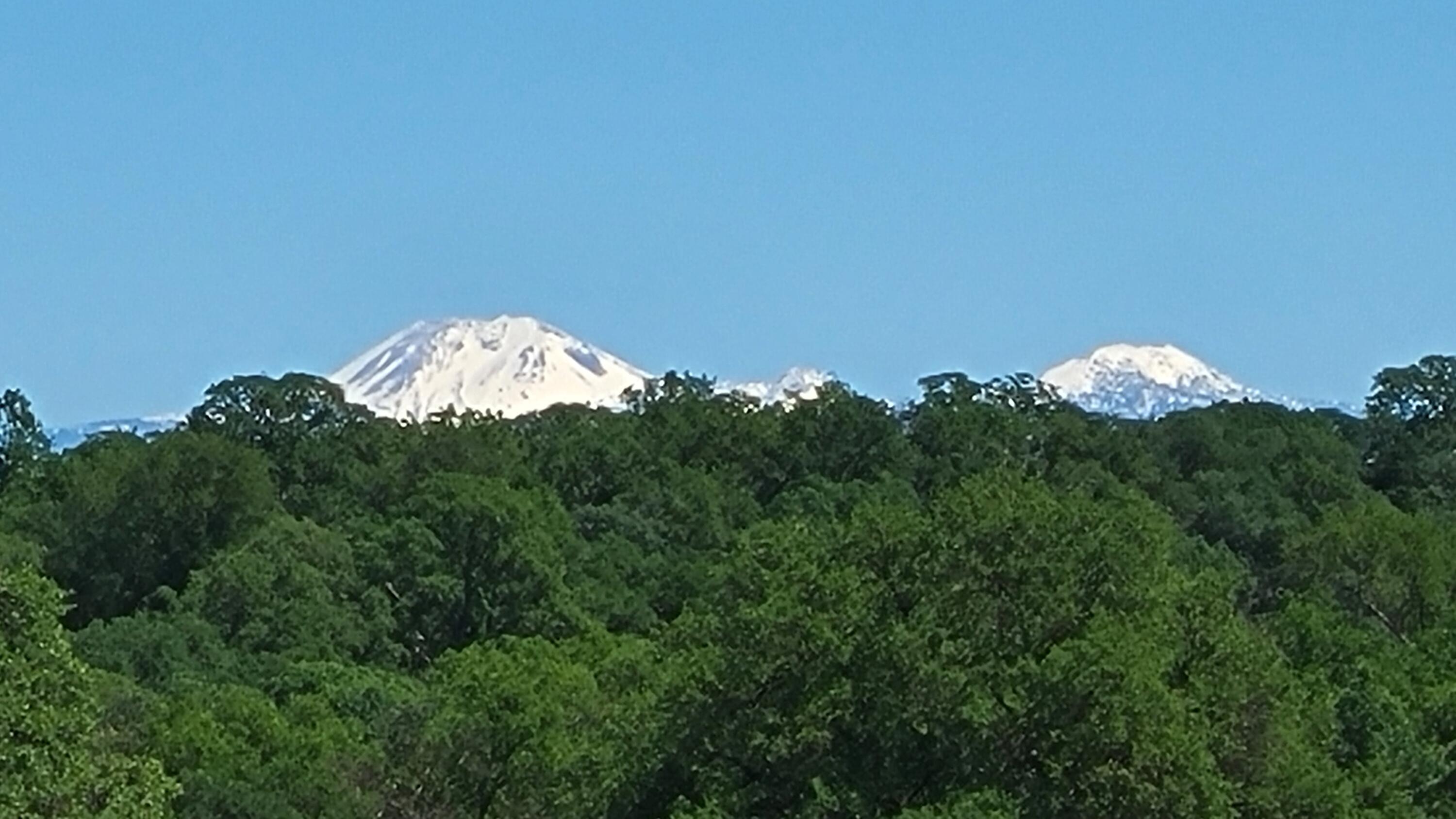 Lot 63 McCoy Road Cottonwood, CA 96022 - Photo 7 of 33 20260403_133249