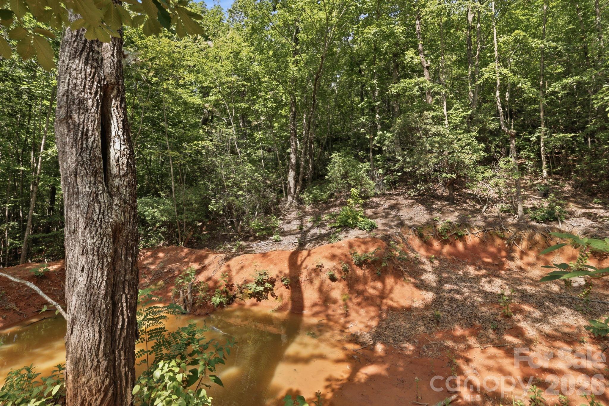 464 Mason Road Ellenboro, NC 28040 - Photo 48 of 48 Gallery Image 48