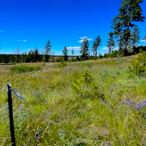 $89,000 | Lot A Lot A Kronos Short Plat/pine Hen Lane, Davenport, WA 99122