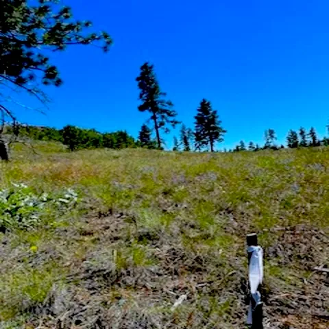 $89,000 | Lot A Lot A Kronos Short Plat/pine Hen Lane, Davenport, WA 99122