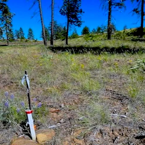 $89,000 | Lot A Lot A Kronos Short Plat/pine Hen Lane, Davenport, WA 99122