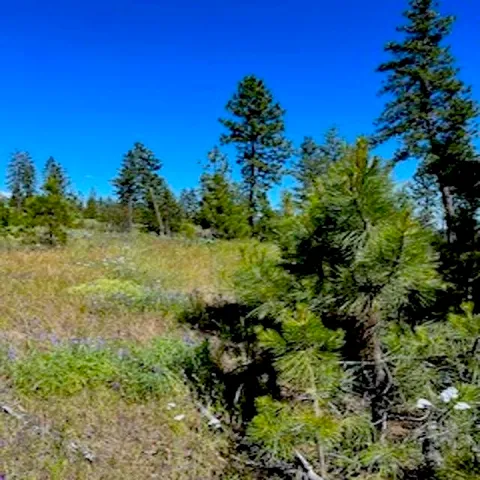 $89,000 | Lot A Lot A Kronos Short Plat/pine Hen Lane, Davenport, WA 99122