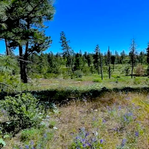 $89,000 | Lot A Lot A Kronos Short Plat/pine Hen Lane, Davenport, WA 99122
