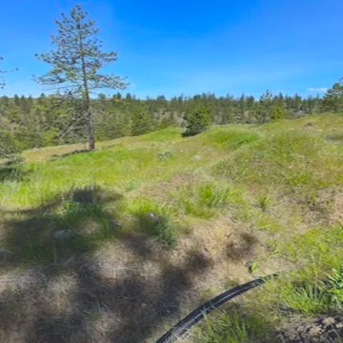 $89,000 | Lot A Lot A Kronos Short Plat/pine Hen Lane, Davenport, WA 99122