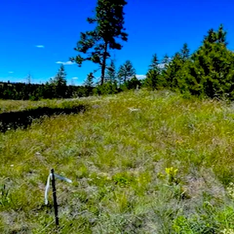 $89,000 | Lot A Lot A Kronos Short Plat/pine Hen Lane, Davenport, WA 99122