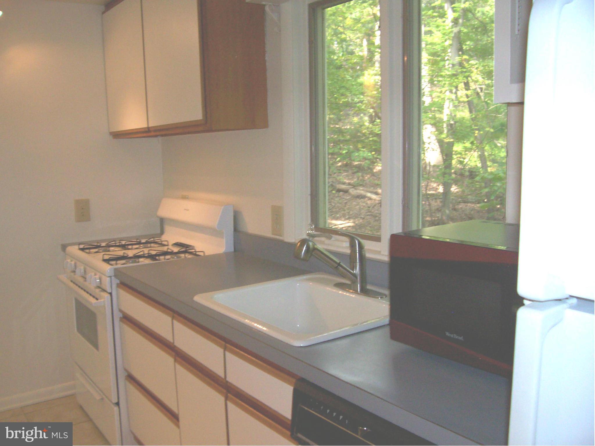 1617 Mercer Road Haymarket, VA 20169 - Photo 16 of 30 Kitchen