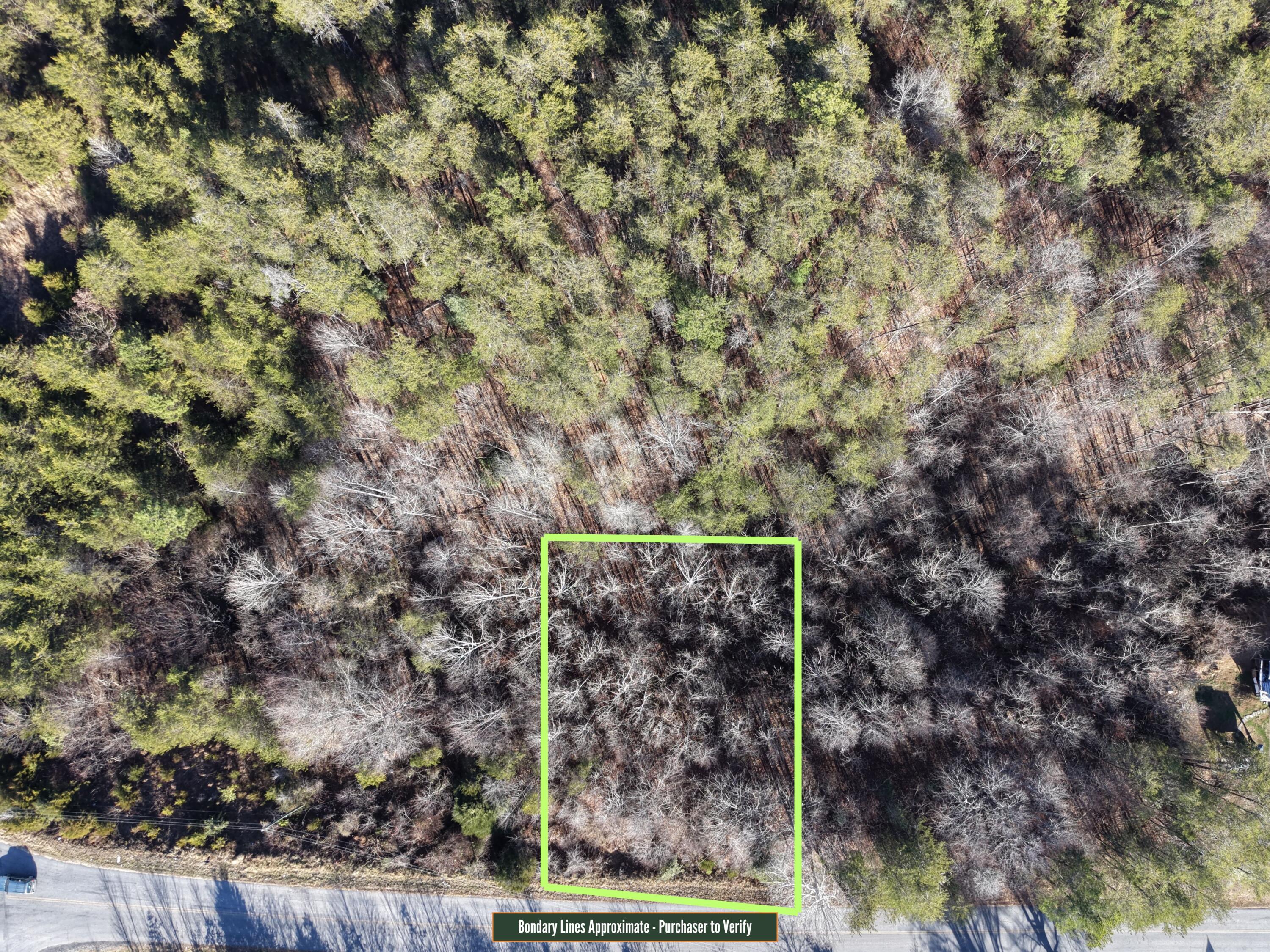 Lot 10 Bassett Heights Road Bassett, VA 24055 - Photo 3 of 3 a view of an outdoor space