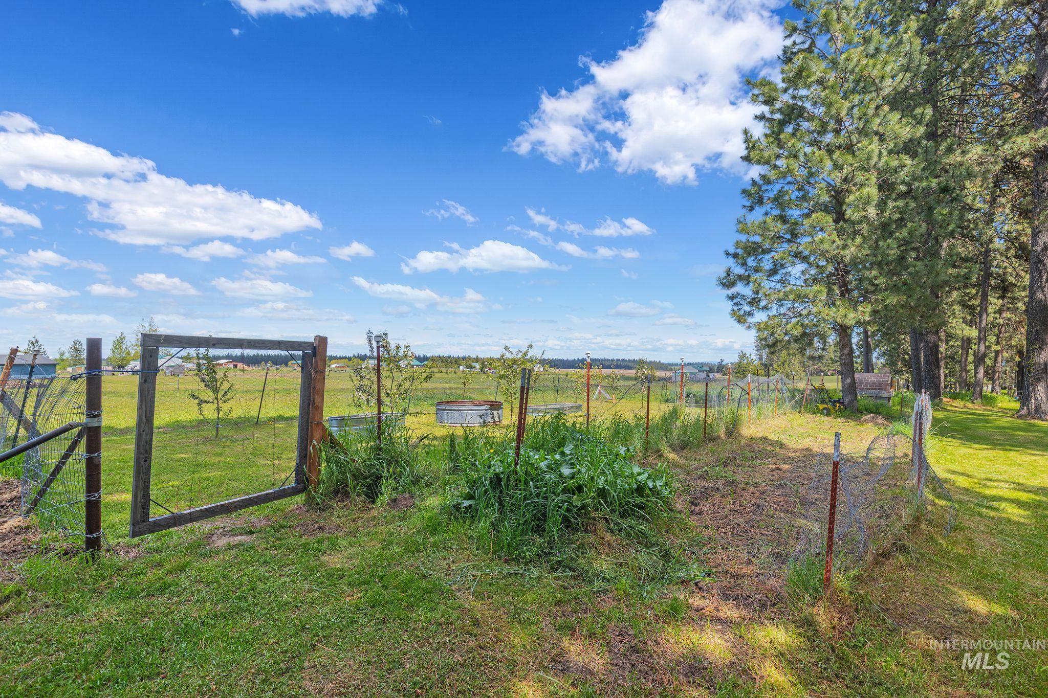 1820 Winchester Road Winchester, ID 83555 - Photo 37 of 50 Expansive outdoor area featuring a wooden gate, wire fencing, mature evergreen trees, and a galvanized stock tank