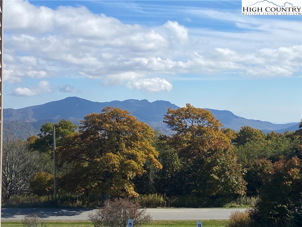301 Pinnacle Inn Road, Unit 1306 Beech Mountain, NC 28604 - Photo 5 of 19 a view of a yard
