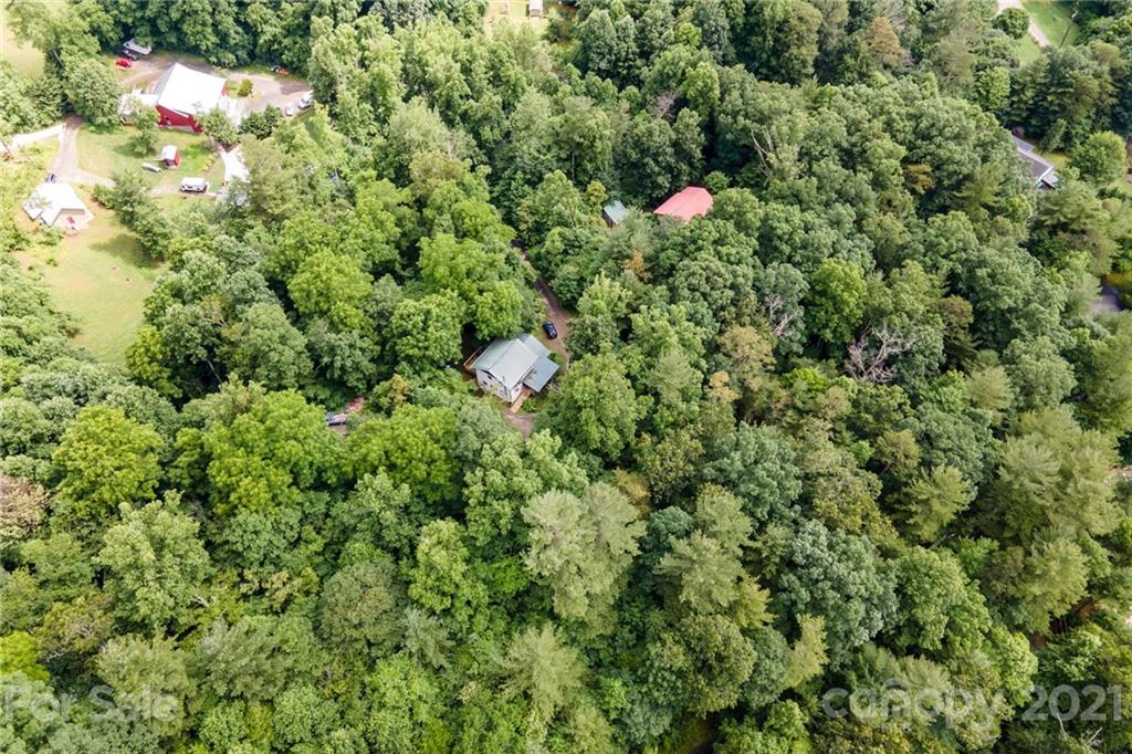 300 Patton Hill Road Swannanoa, NC 28778 - Photo 42 of 48 Gallery Image 42
