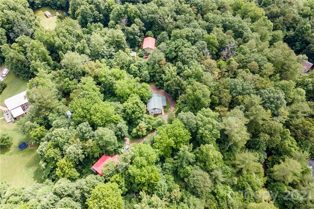 300 Patton Hill Road Swannanoa, NC 28778 - Photo 43 of 48 Gallery Image 43