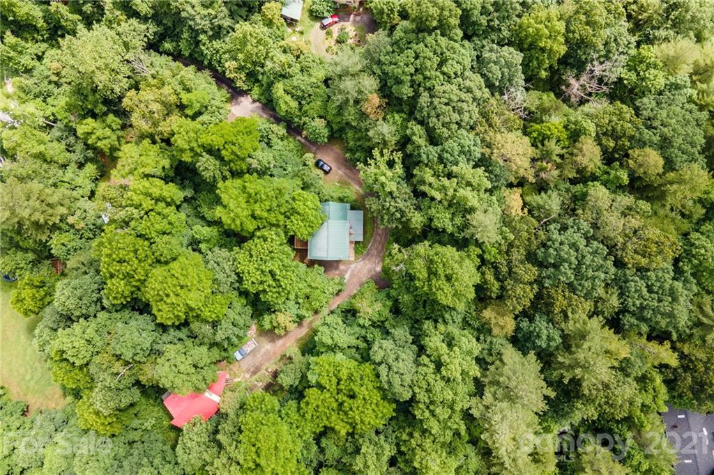 300 Patton Hill Road Swannanoa, NC 28778 - Photo 46 of 48 Gallery Image 46
