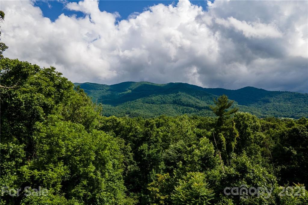 300 Patton Hill Road Swannanoa, NC 28778 - Photo 48 of 48 Gallery Image 48