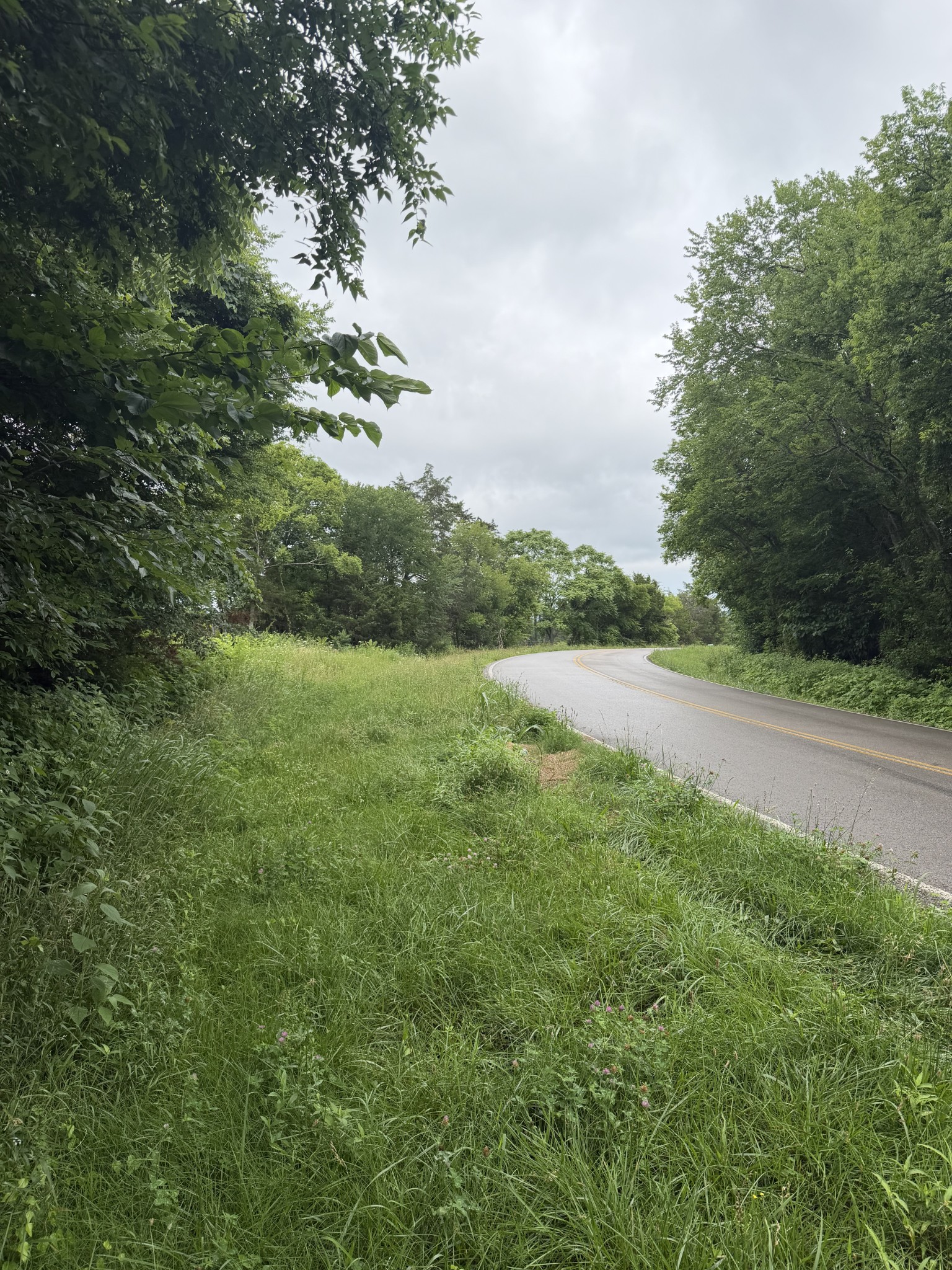 4492 Murray-Kittrell Road Readyville, TN 37149 - Photo 19 of 27