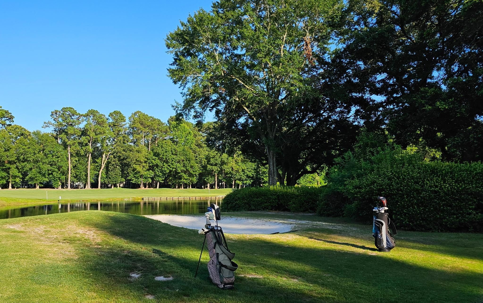 50 Turning Stone Boulelvard, Unit 8 Murrells Inlet, SC 29576 - Photo 50 of 50