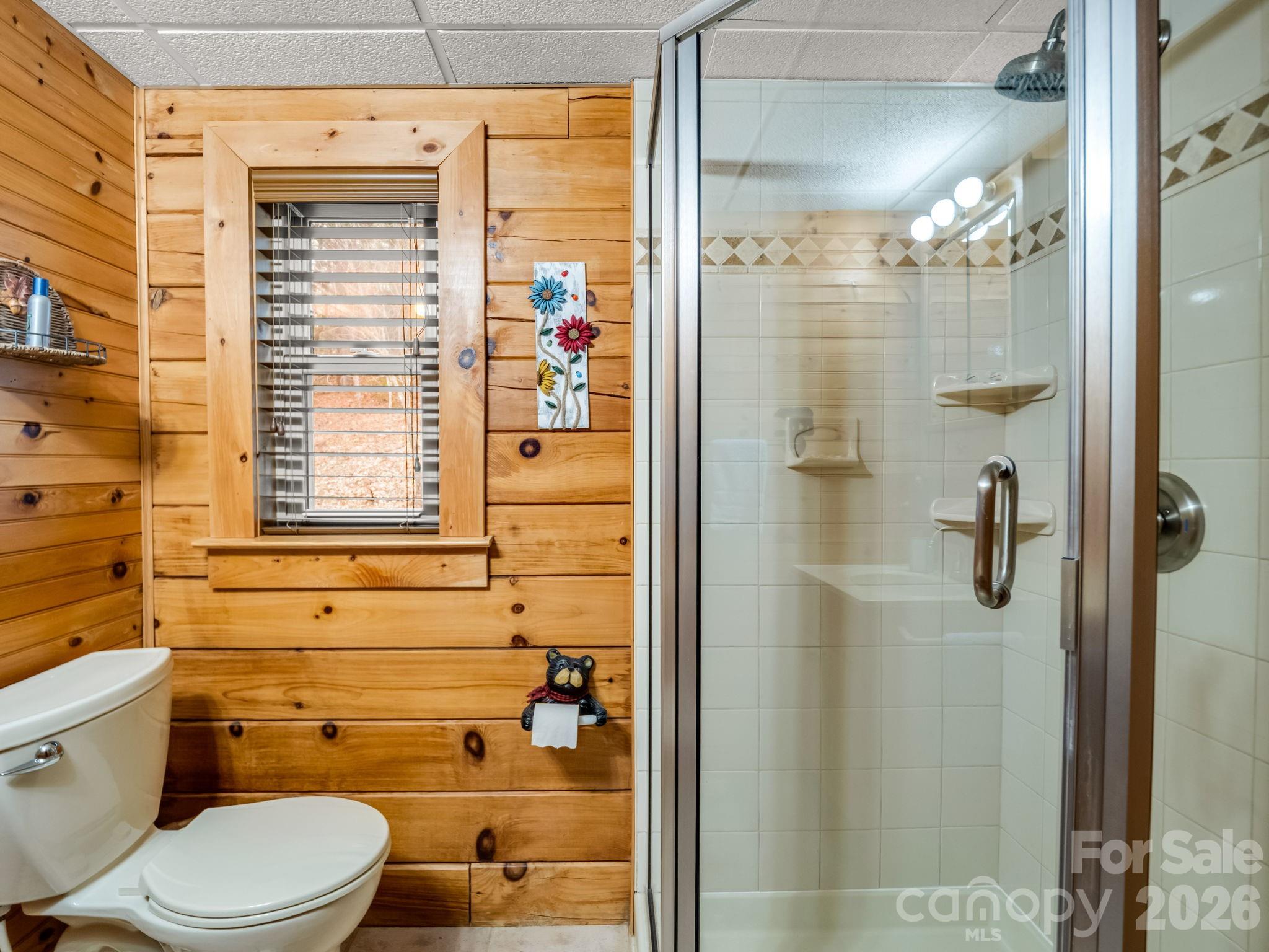 190 Observation Ridge Rutherfordton, NC 28139 - Photo 15 of 46