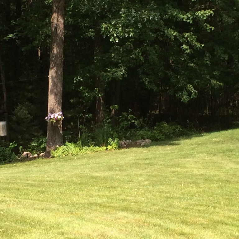11 Churchill Road Douglas, MA 01516 - Photo 29 of 30 Gallery Image 29