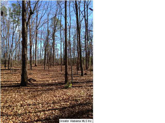 8535 Dunnavant Valley Road Leeds, AL 35094 - Photo 4 of 7