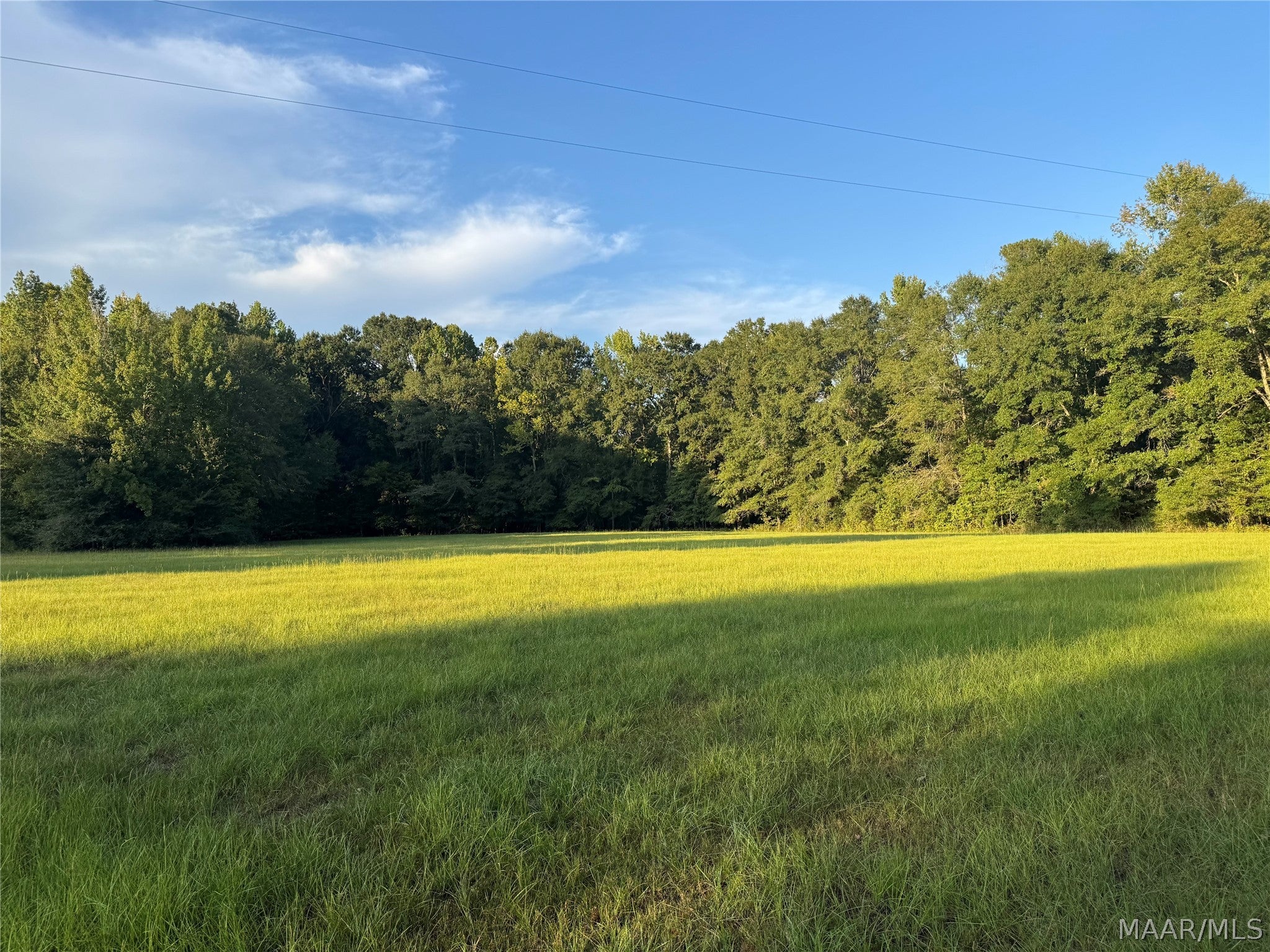331 Old Barnes Road Mathews, AL 36052 - Photo 8 of 11 Gallery Image 8