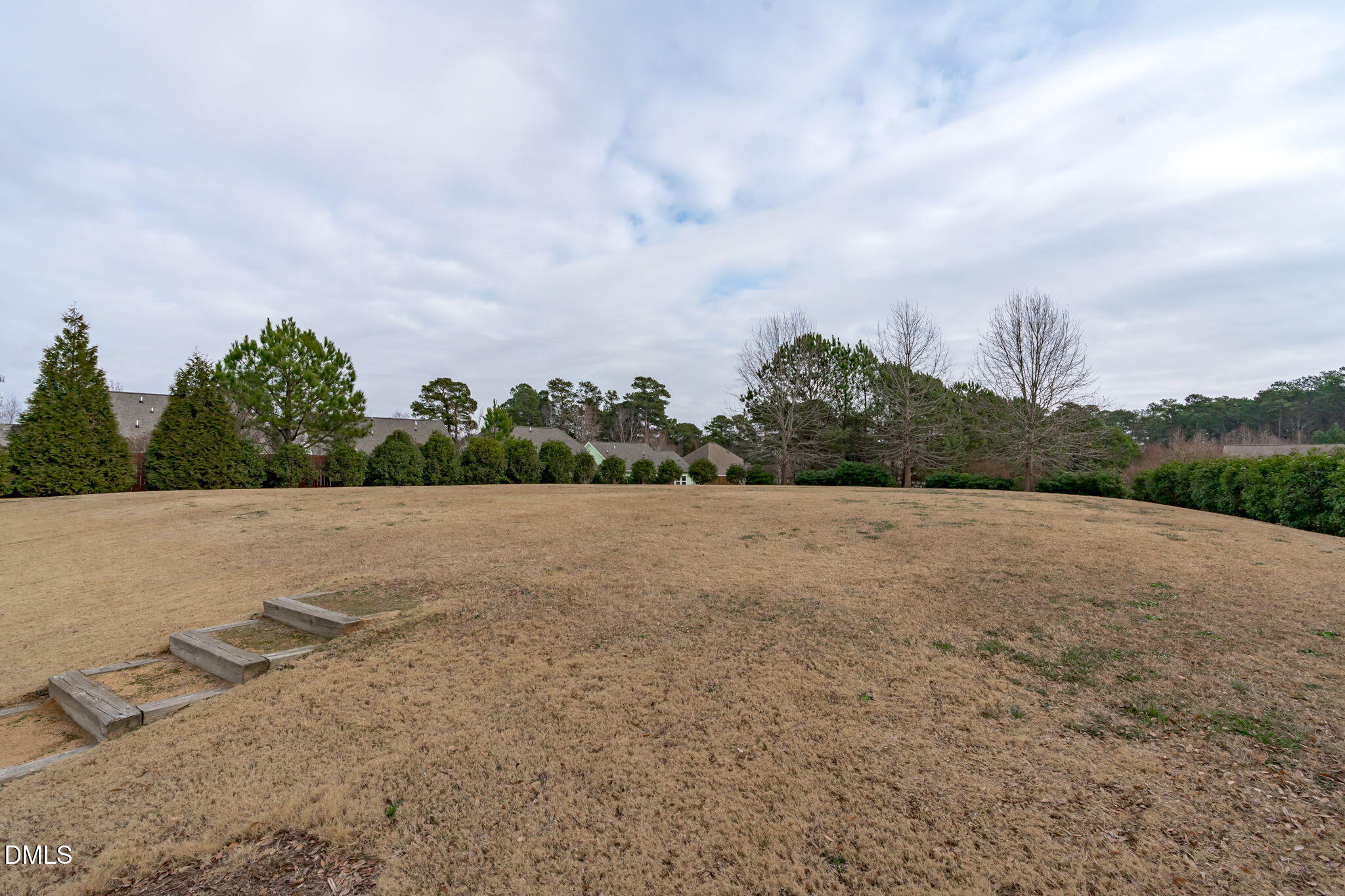 2844 Bogle Branch Court Raleigh, NC 27606 - Photo 48 of 54 a view of a dry yard