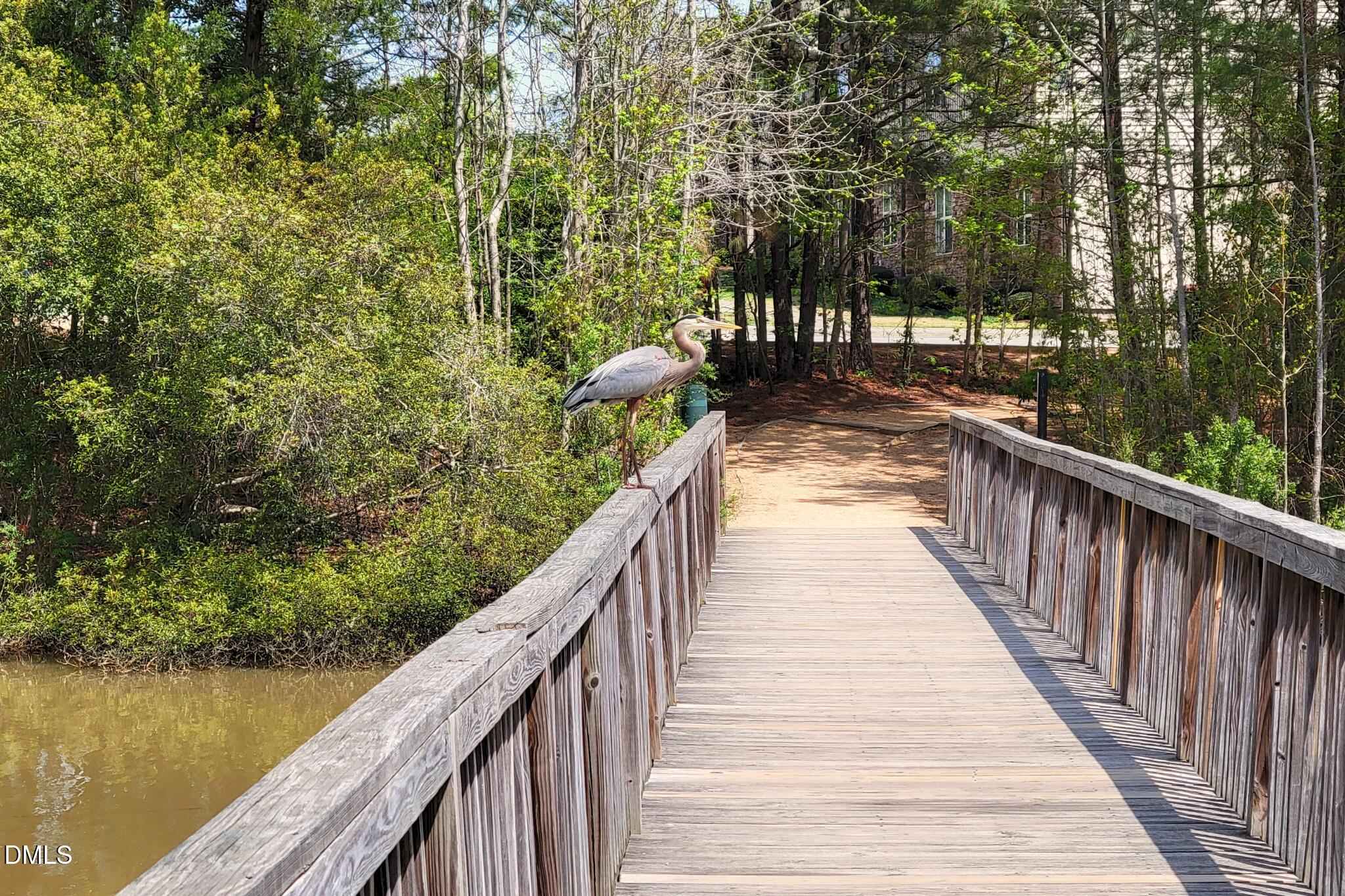 2844 Bogle Branch Court Raleigh, NC 27606 - Photo 49 of 54 a view of balcony and yard