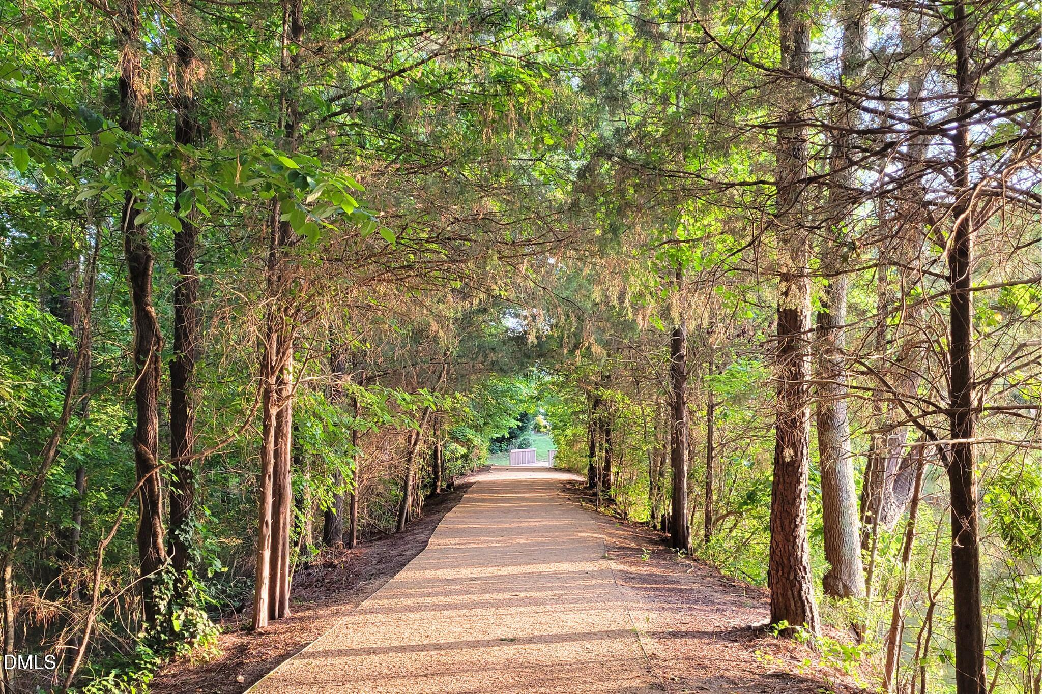 2844 Bogle Branch Court Raleigh, NC 27606 - Photo 50 of 54 a view of a pathway of a park with large trees