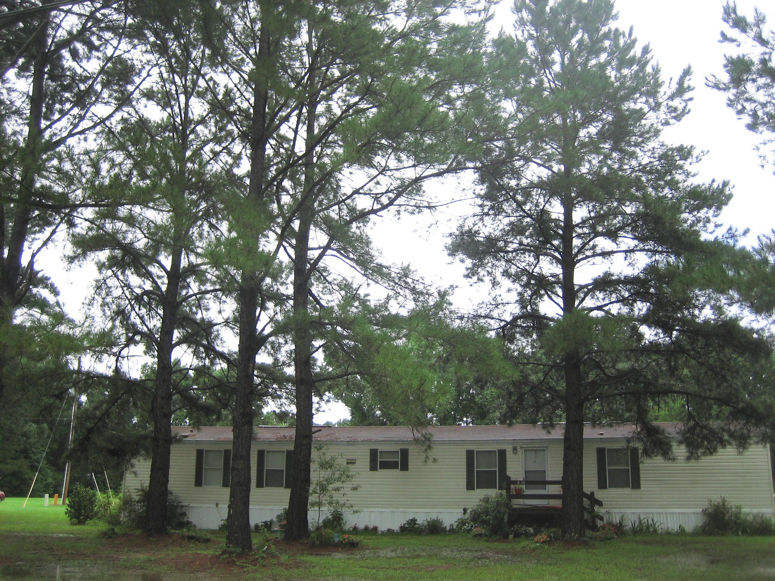834 Smoak Road Walterboro, SC 29488 - Photo 2 of 25 IMG_6204