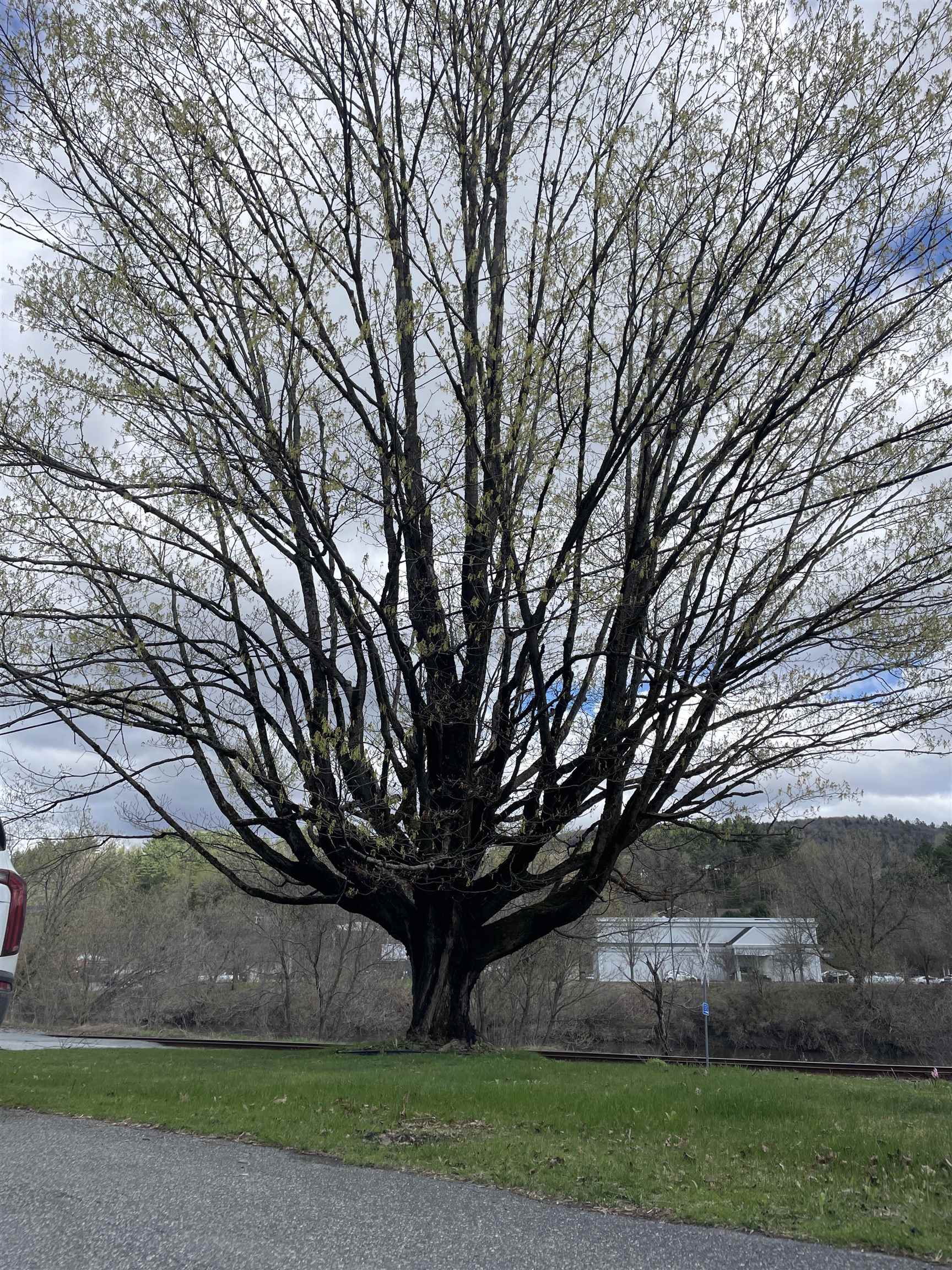 115 Fenton Road St. Johnsbury, VT 05819 - Photo 38 of 39