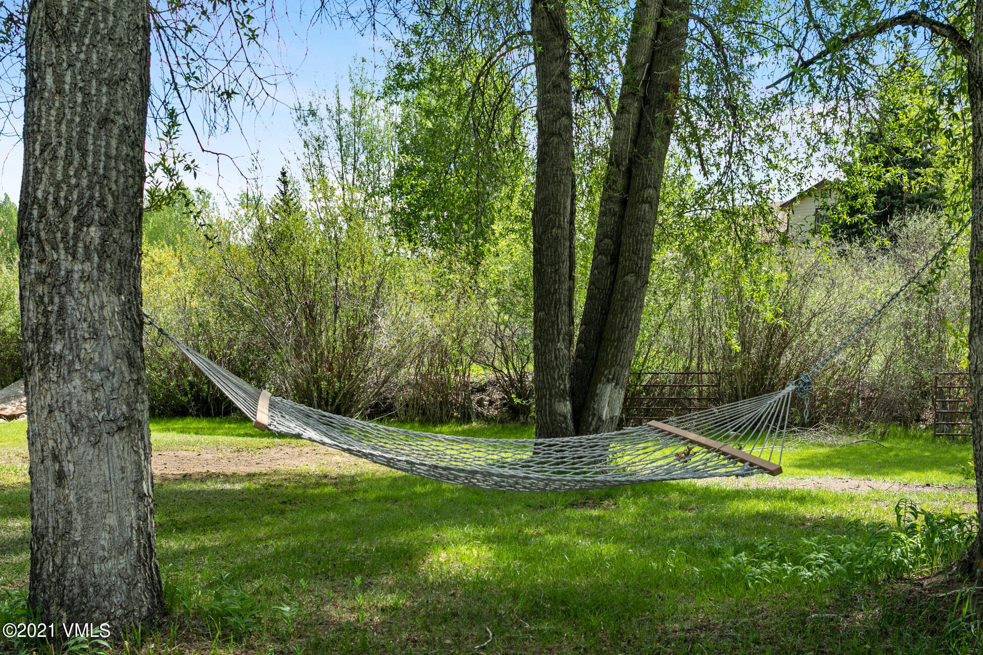 385 Edwards Access Road Edwards, CO 81632 - Photo 18 of 37 a view of a backyard with a tree