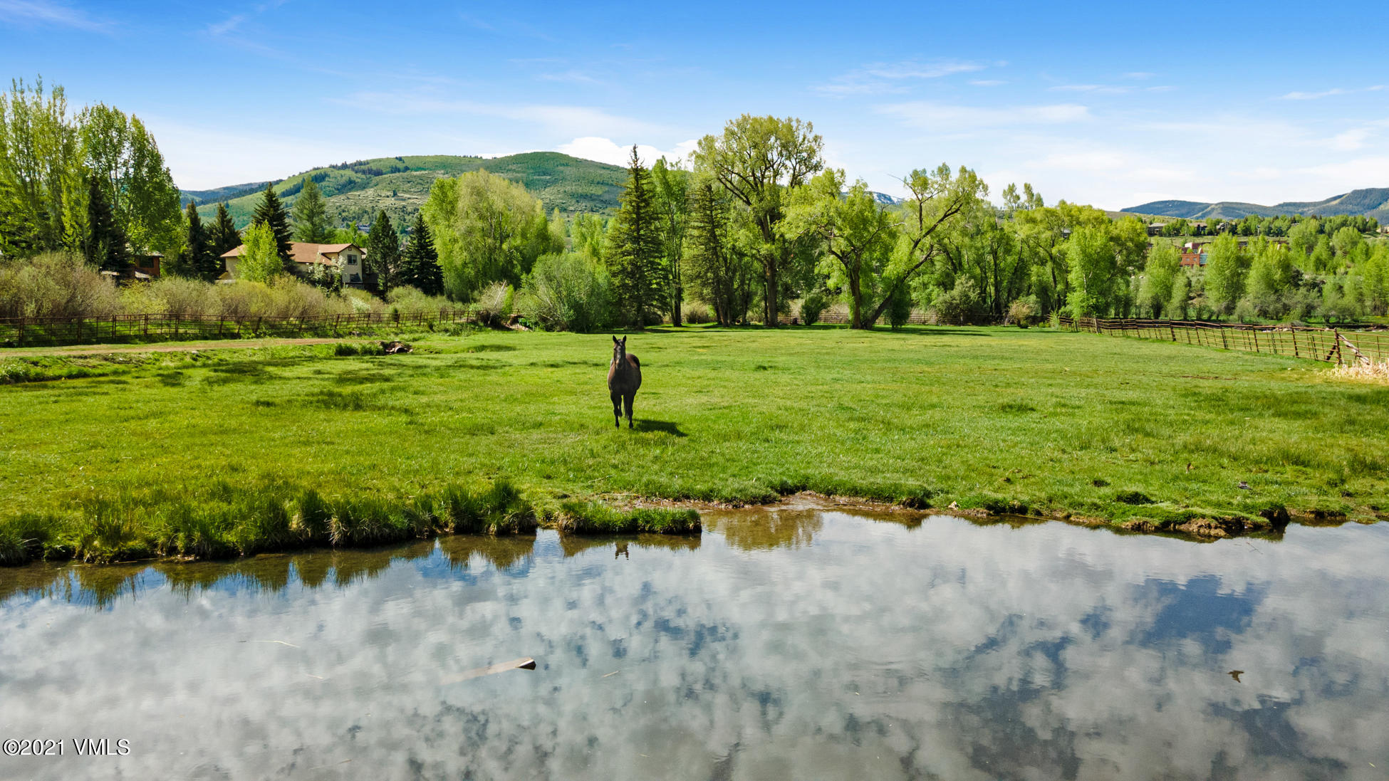 385 Edwards Access Road Edwards, CO 81632 - Photo 8 of 37 a view of a garden