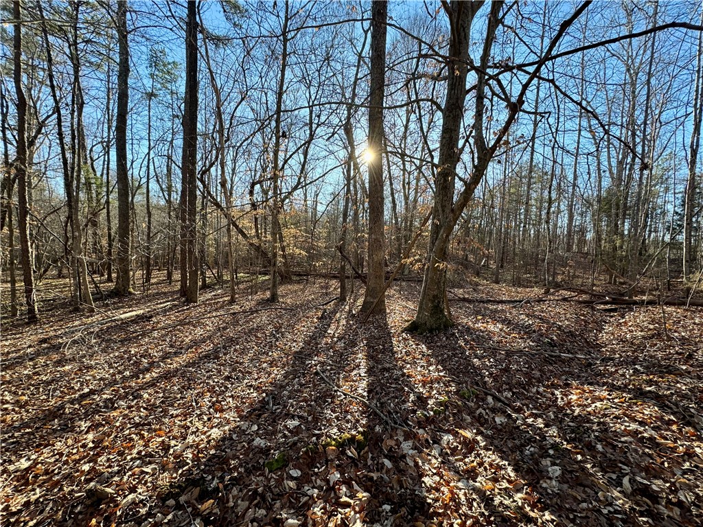 C Rock Cut Road Smyrna, SC 29743 - Photo 11 of 29
