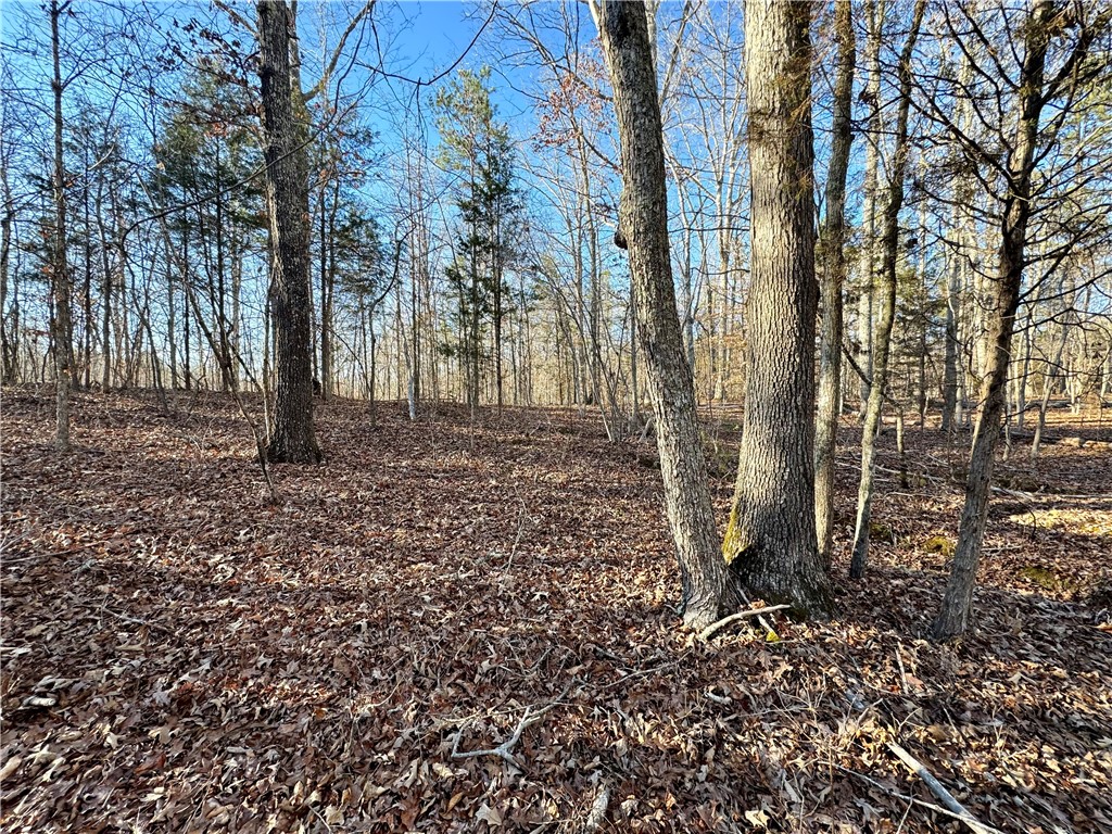 C Rock Cut Road Smyrna, SC 29743 - Photo 13 of 29