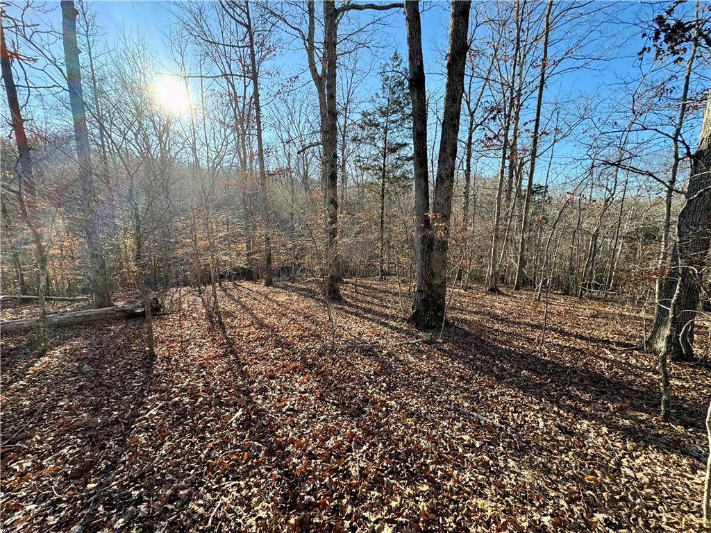 C Rock Cut Road Smyrna, SC 29743 - Photo 17 of 29