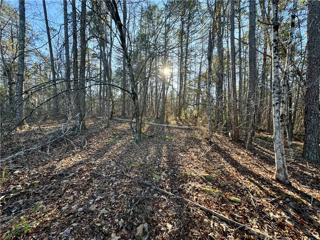 C Rock Cut Road Smyrna, SC 29743 - Photo 18 of 29