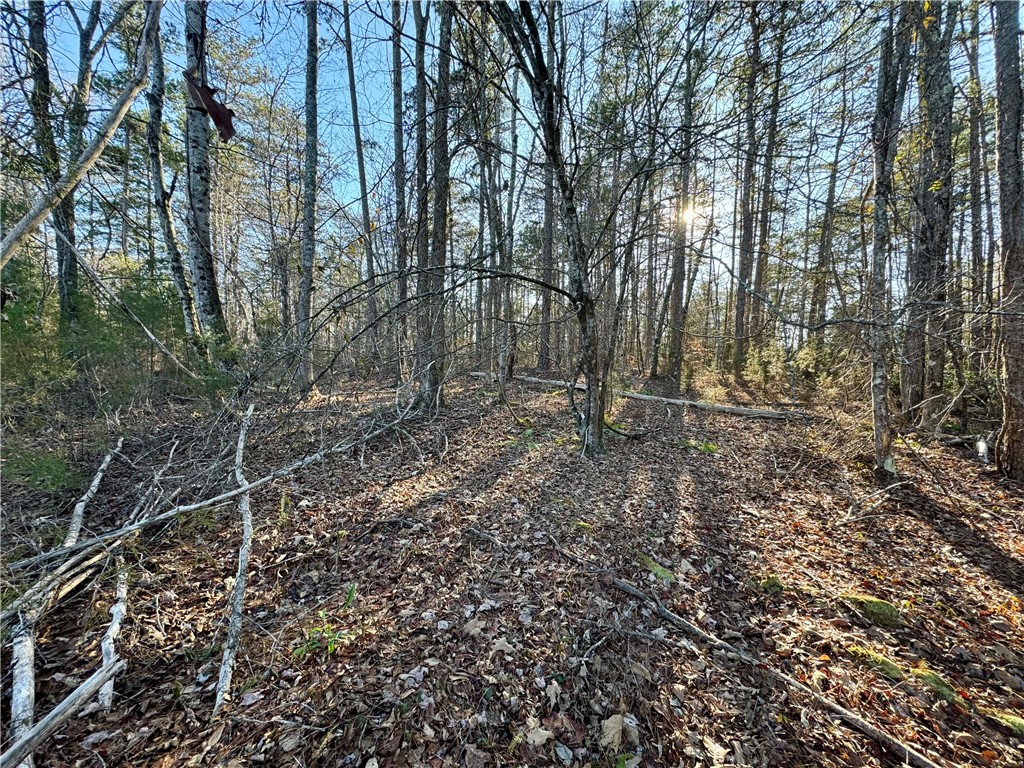 C Rock Cut Road Smyrna, SC 29743 - Photo 19 of 29