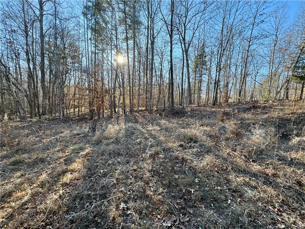 C Rock Cut Road Smyrna, SC 29743 - Photo 20 of 29